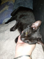 /album/20-10-2025/afbeelding-van-whatsapp-op-2025-10-19-om-21-14-35-f77eefd3-jpg/